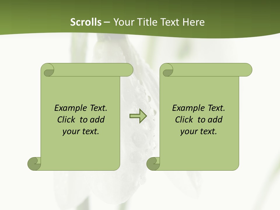 Grow Blossom Natural PowerPoint Template