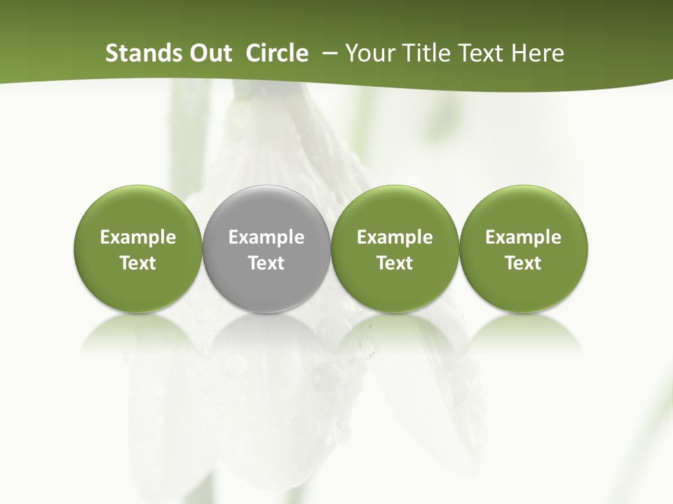 Grow Blossom Natural PowerPoint Template