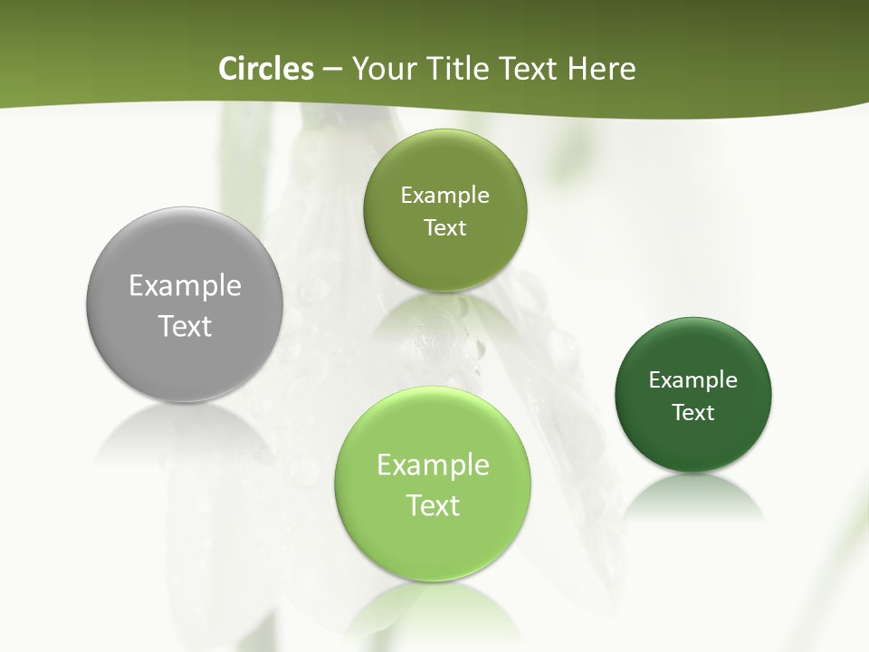 Grow Blossom Natural PowerPoint Template