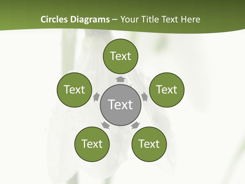 Grow Blossom Natural PowerPoint Template