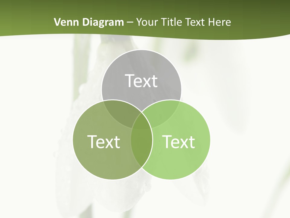 Grow Blossom Natural PowerPoint Template