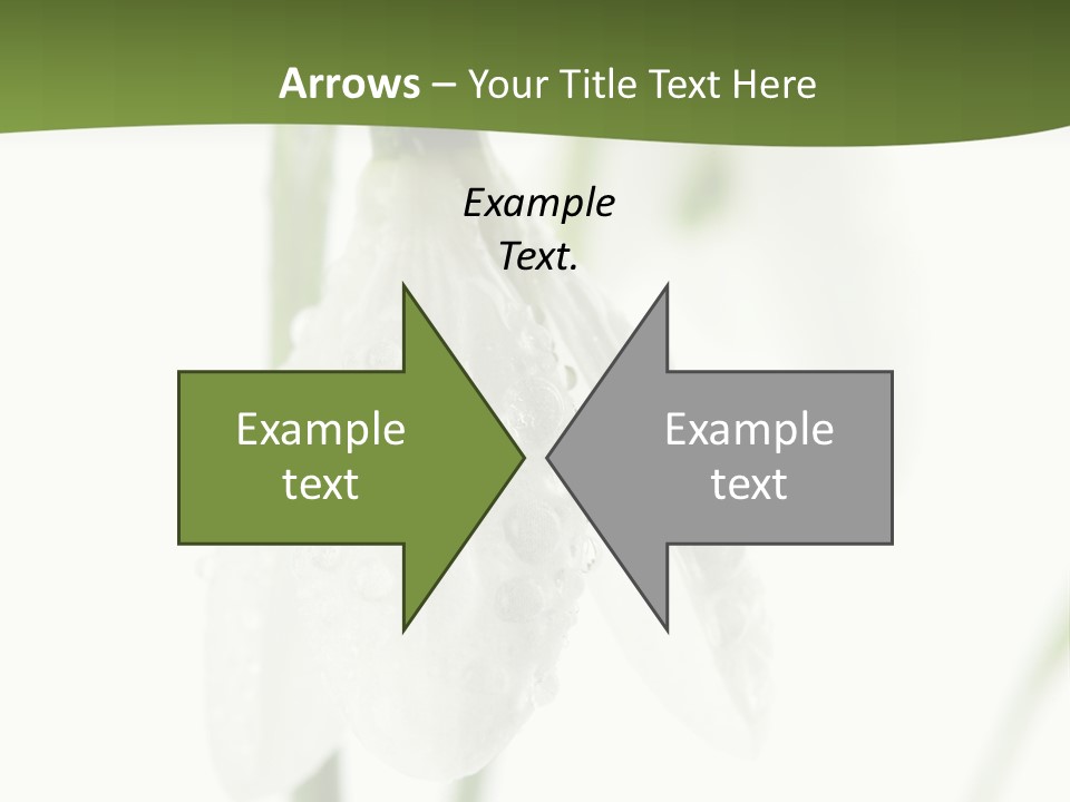 Grow Blossom Natural PowerPoint Template