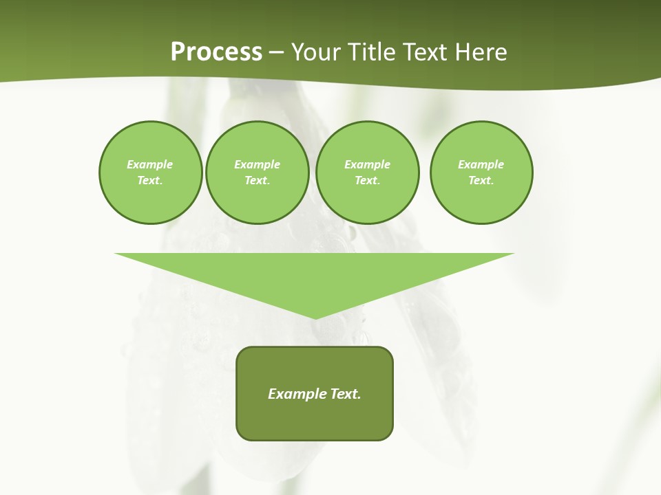 Grow Blossom Natural PowerPoint Template