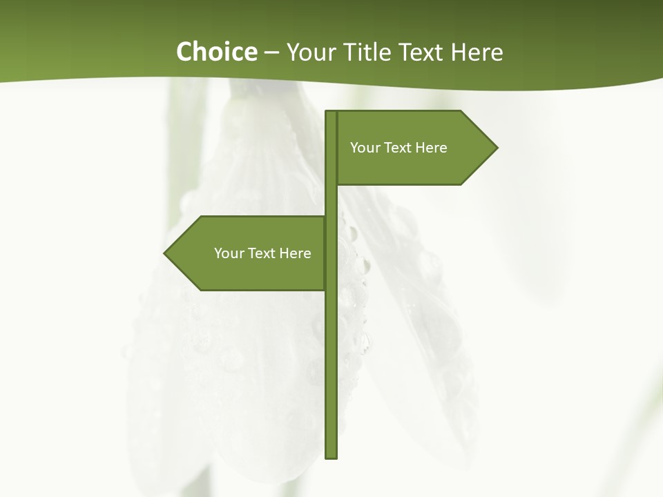 Grow Blossom Natural PowerPoint Template