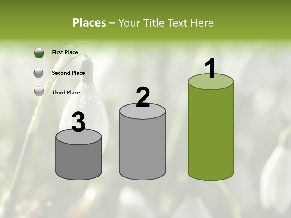 Scintillate Plant Grass PowerPoint Template