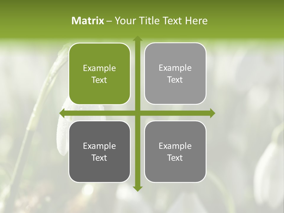 Scintillate Plant Grass PowerPoint Template