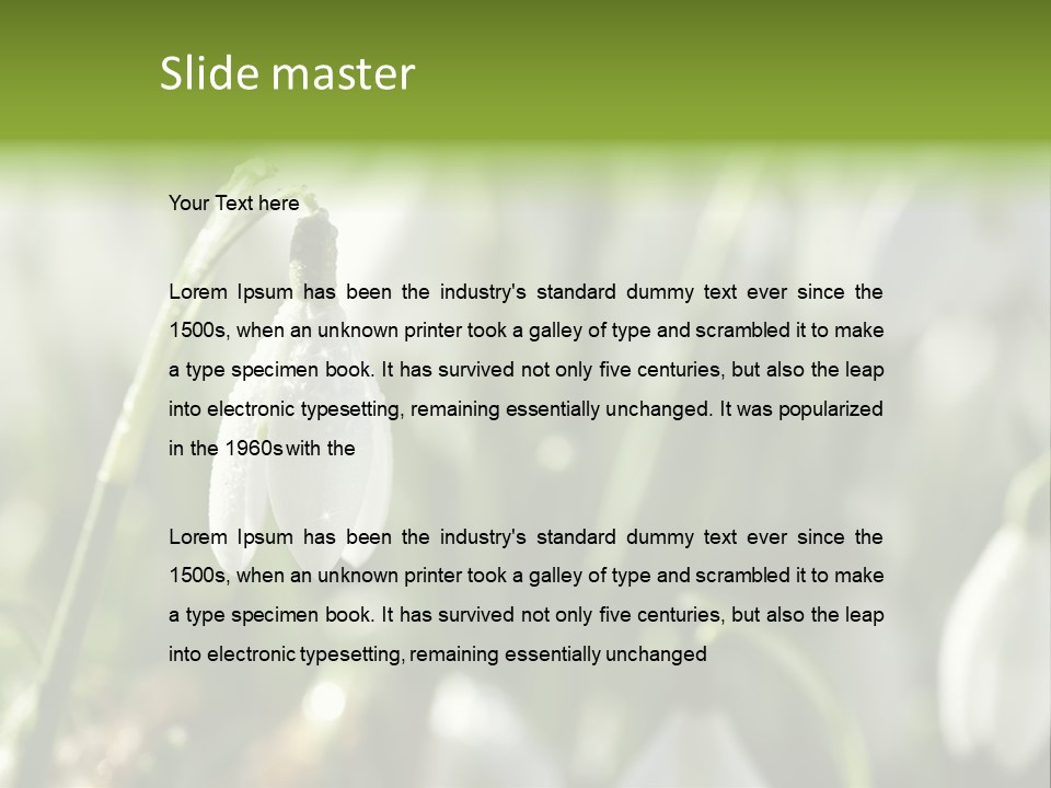 Scintillate Plant Grass PowerPoint Template