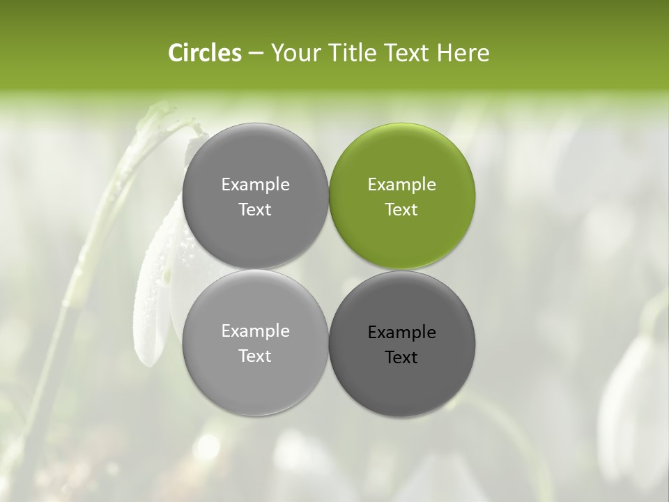 Scintillate Plant Grass PowerPoint Template