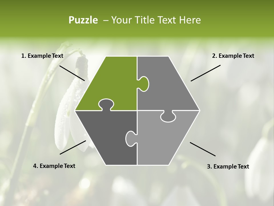 Scintillate Plant Grass PowerPoint Template