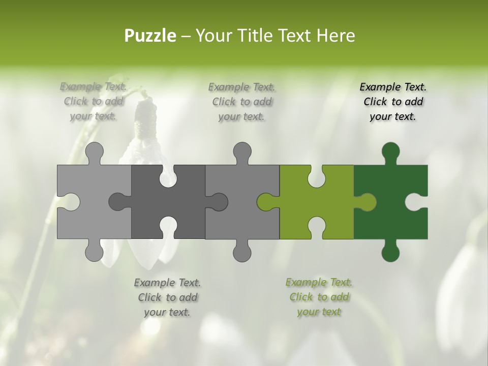 Scintillate Plant Grass PowerPoint Template