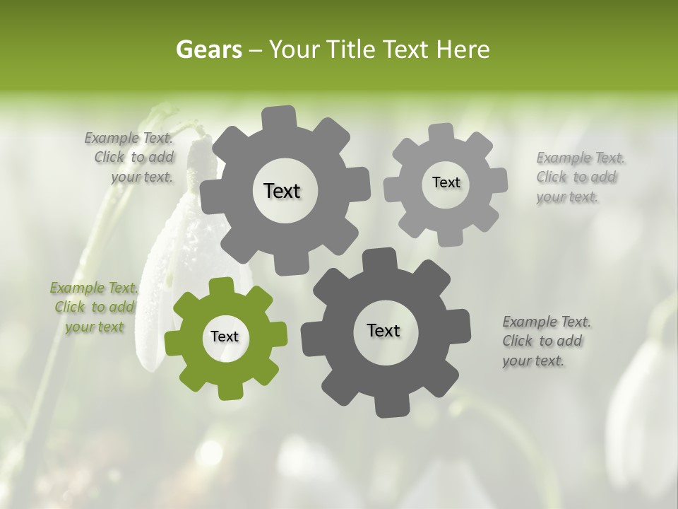Scintillate Plant Grass PowerPoint Template