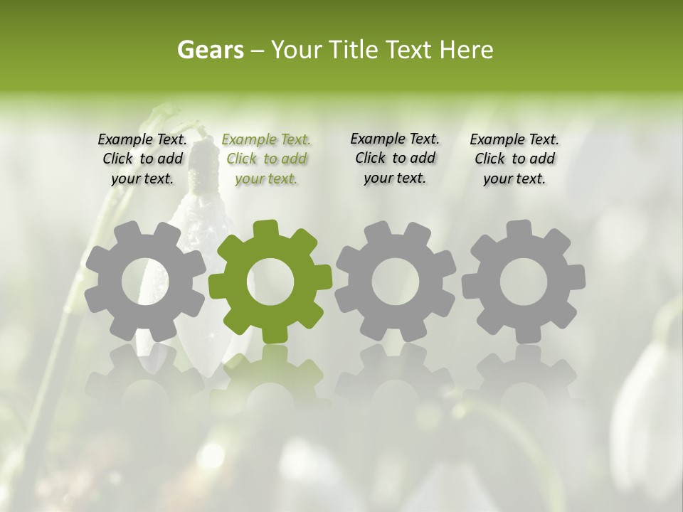 Scintillate Plant Grass PowerPoint Template