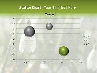 Scintillate Plant Grass PowerPoint Template