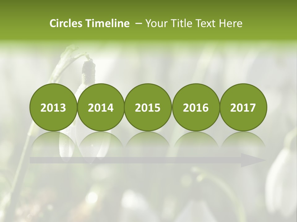 Scintillate Plant Grass PowerPoint Template