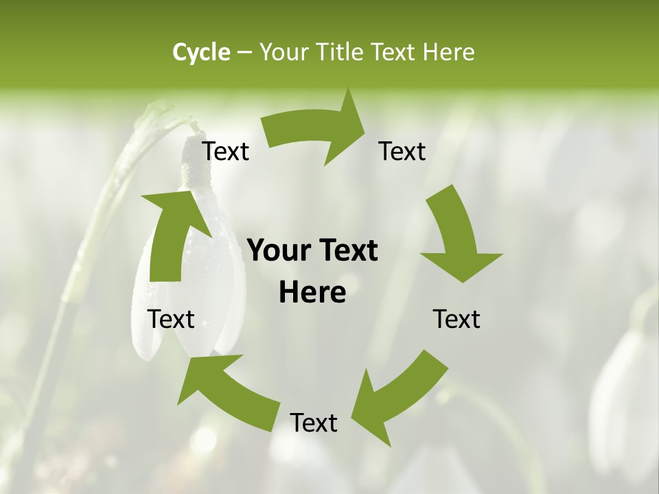 Scintillate Plant Grass PowerPoint Template
