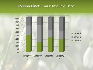 Scintillate Plant Grass PowerPoint Template