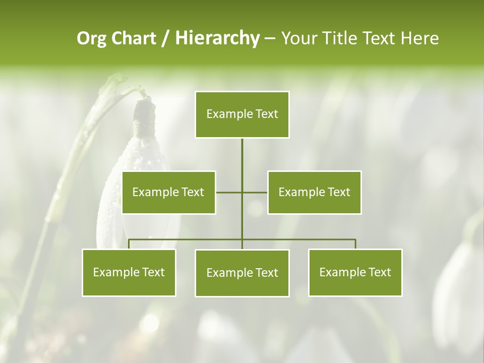 Scintillate Plant Grass PowerPoint Template