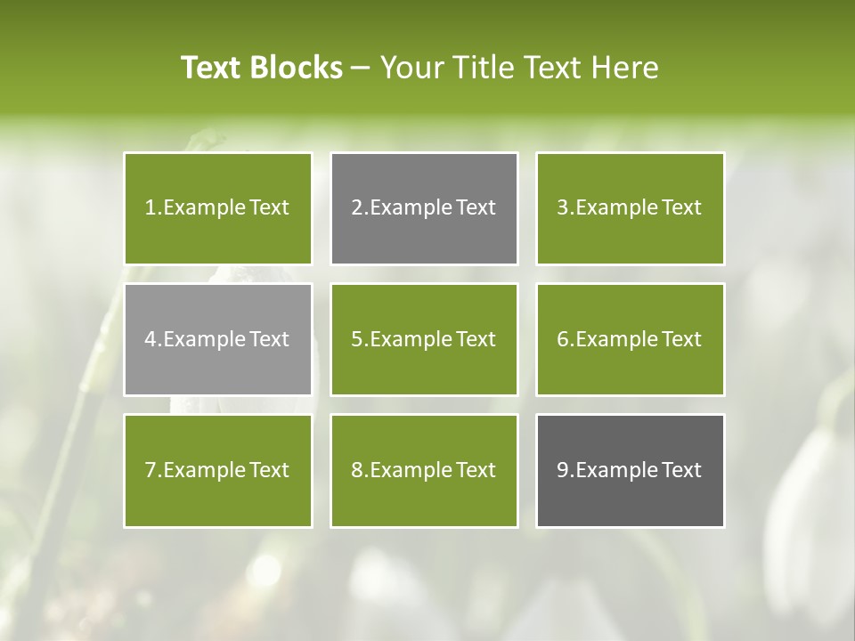 Scintillate Plant Grass PowerPoint Template