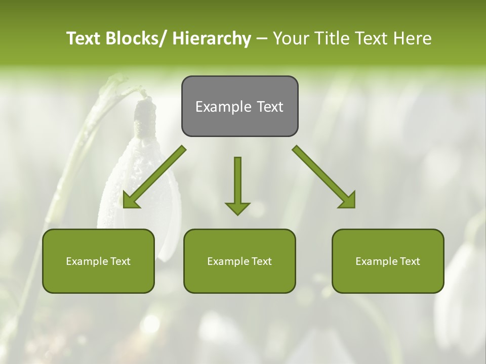 Scintillate Plant Grass PowerPoint Template