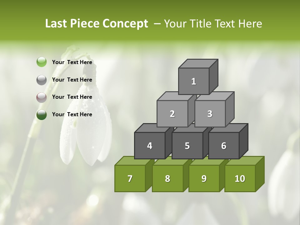 Scintillate Plant Grass PowerPoint Template