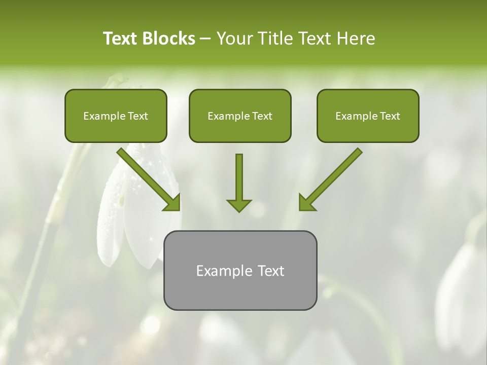Scintillate Plant Grass PowerPoint Template