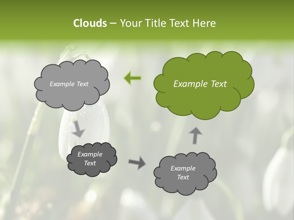 Scintillate Plant Grass PowerPoint Template