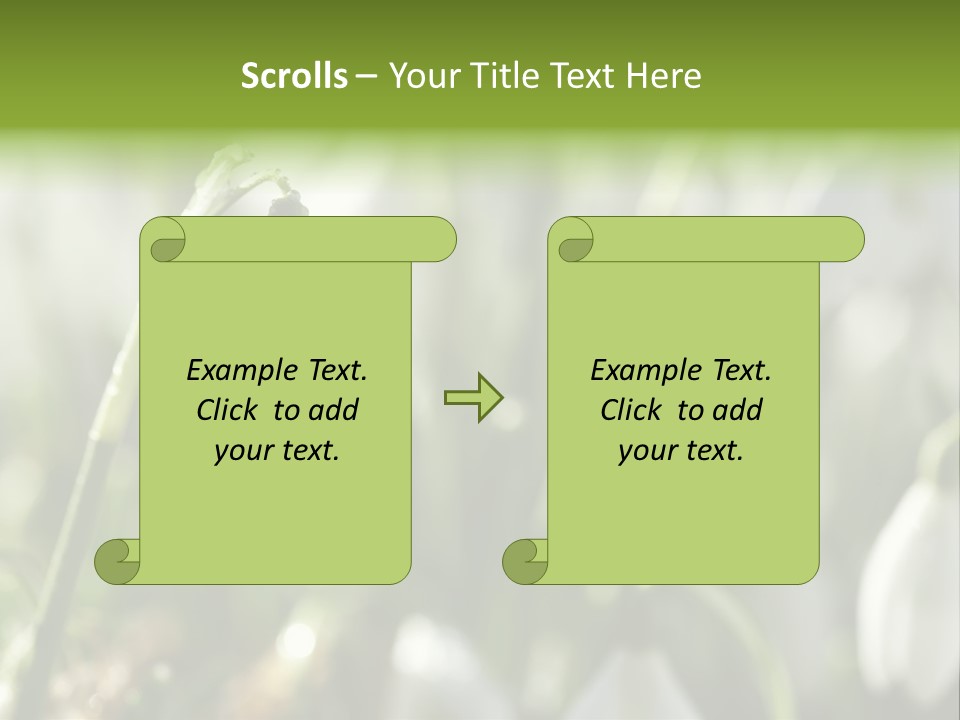 Scintillate Plant Grass PowerPoint Template