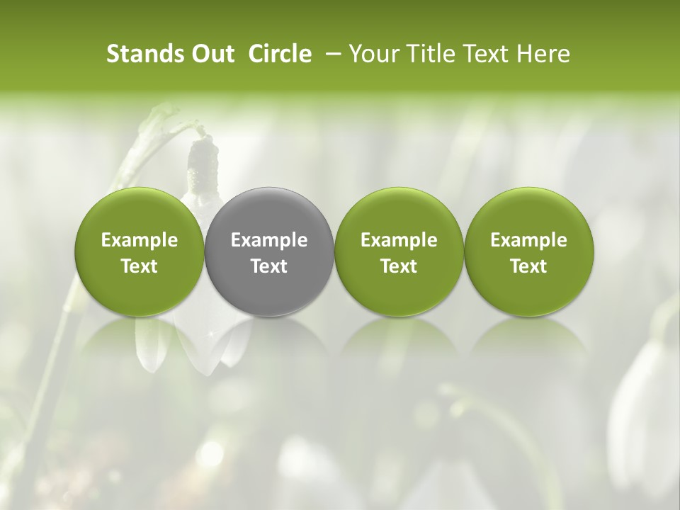 Scintillate Plant Grass PowerPoint Template