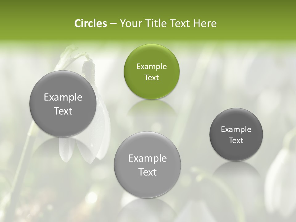 Scintillate Plant Grass PowerPoint Template