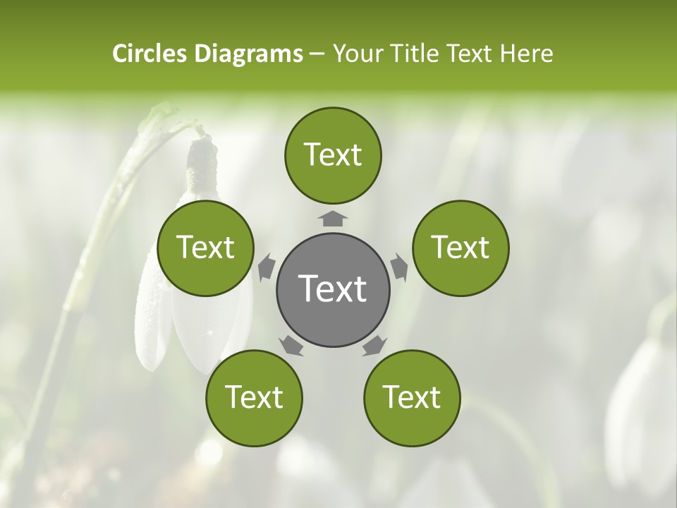 Scintillate Plant Grass PowerPoint Template