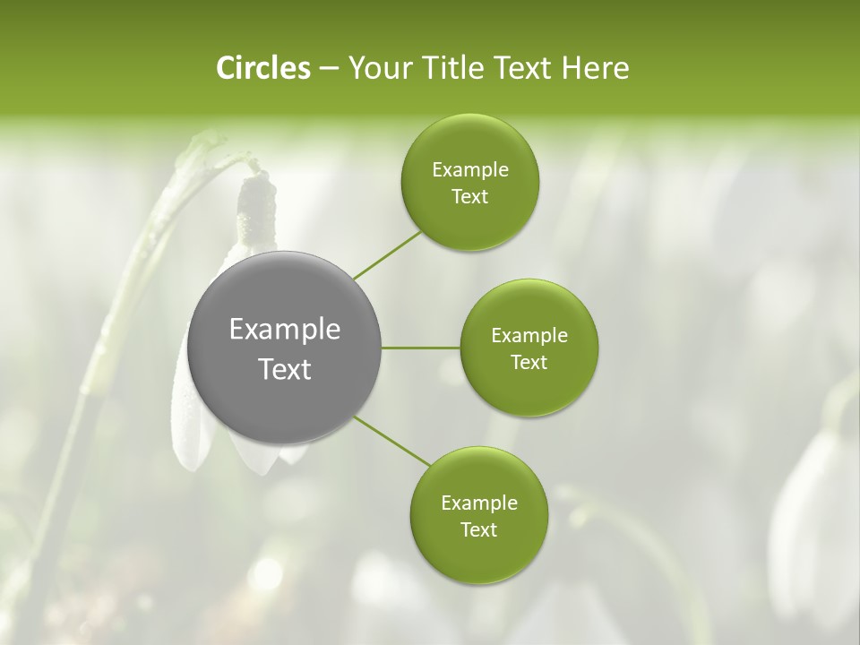 Scintillate Plant Grass PowerPoint Template