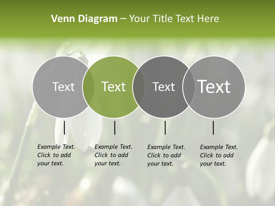 Scintillate Plant Grass PowerPoint Template