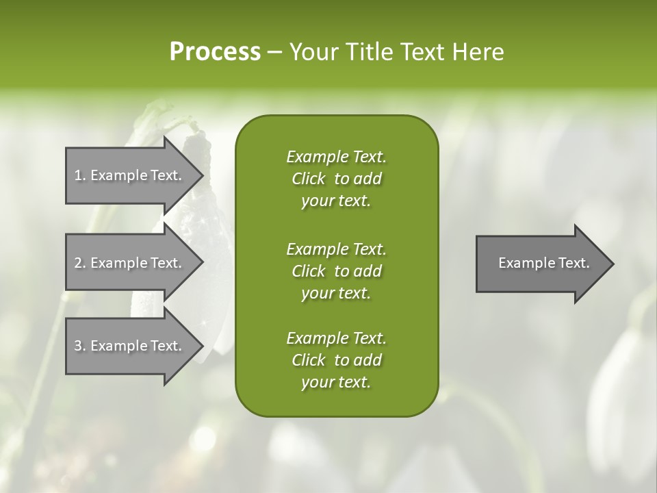 Scintillate Plant Grass PowerPoint Template