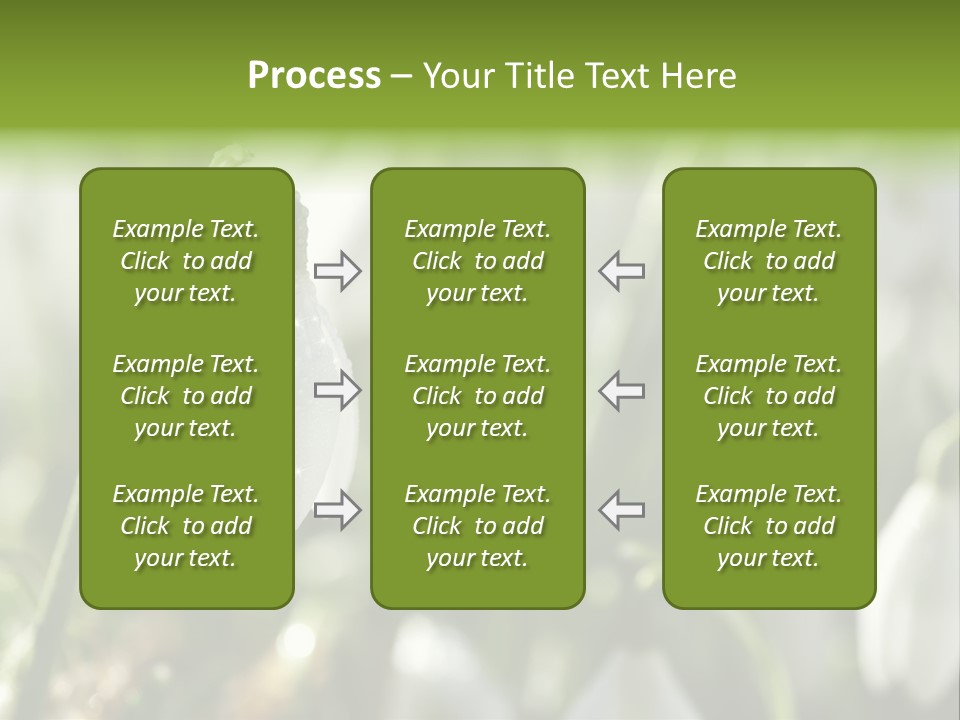 Scintillate Plant Grass PowerPoint Template