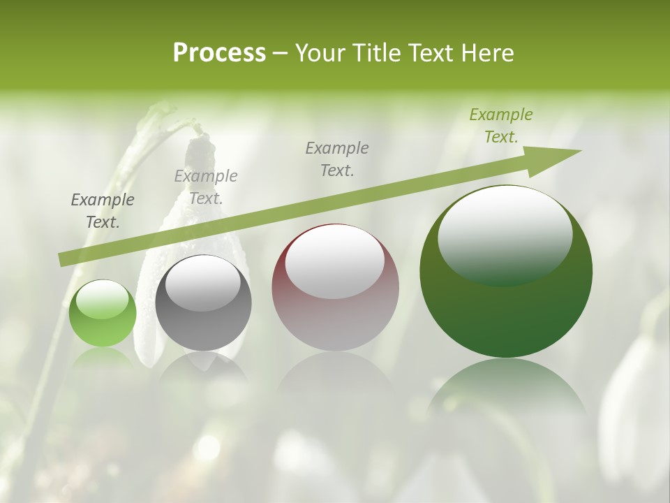Scintillate Plant Grass PowerPoint Template