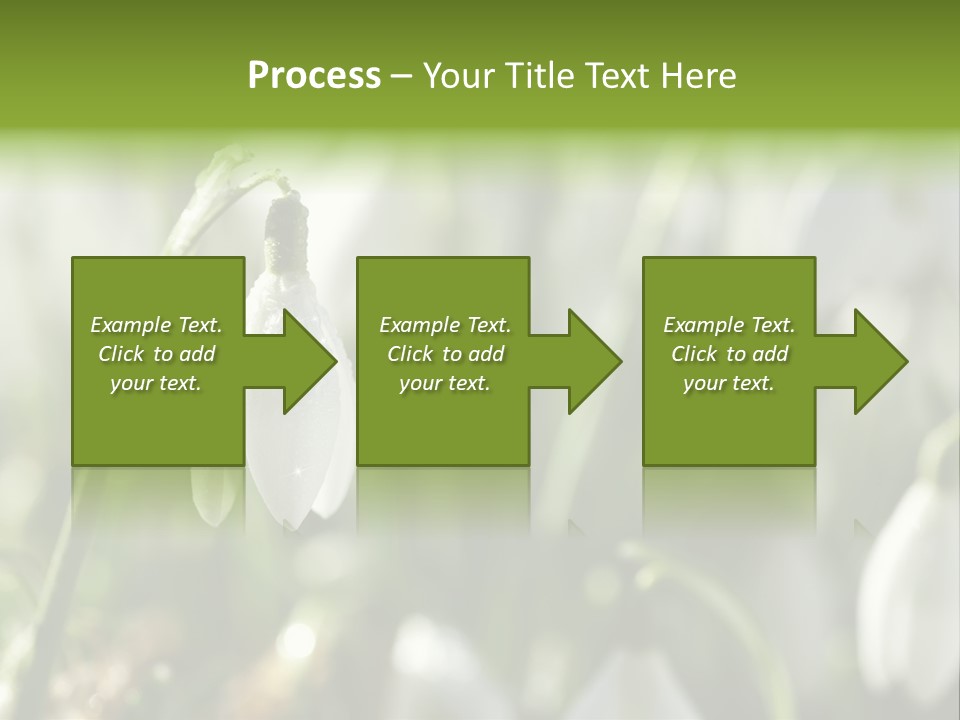Scintillate Plant Grass PowerPoint Template