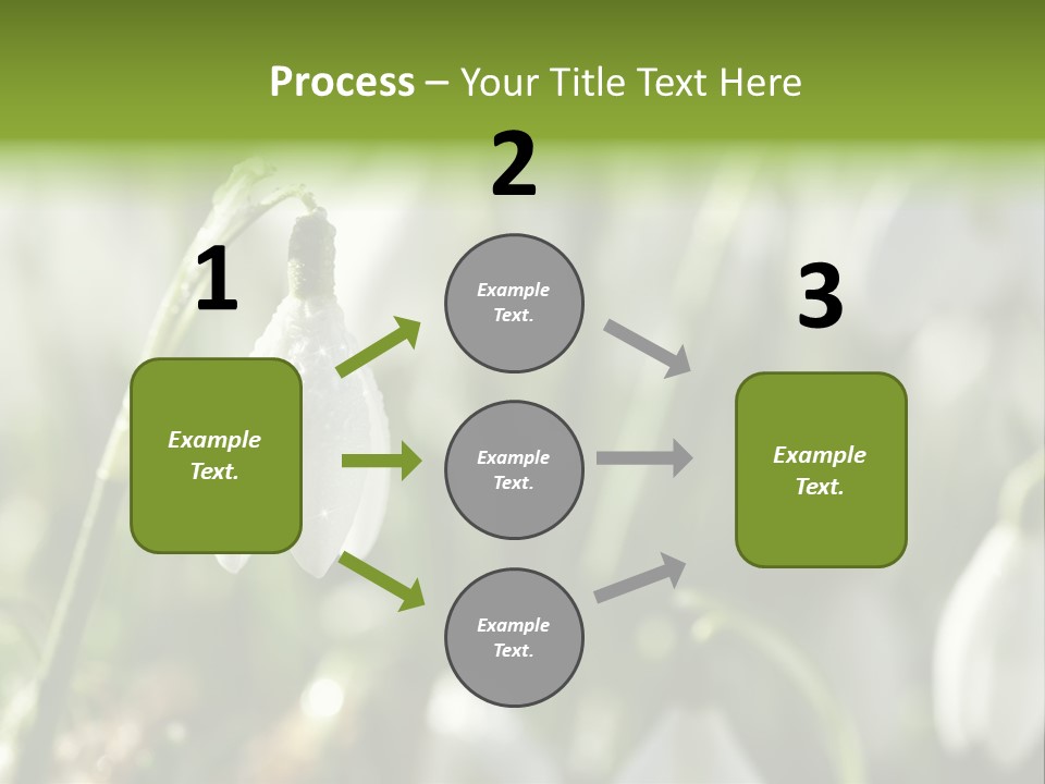 Scintillate Plant Grass PowerPoint Template