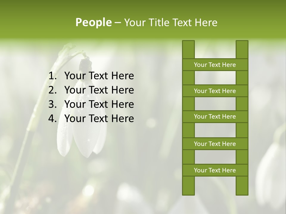 Scintillate Plant Grass PowerPoint Template