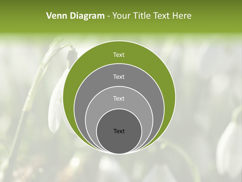 Scintillate Plant Grass PowerPoint Template