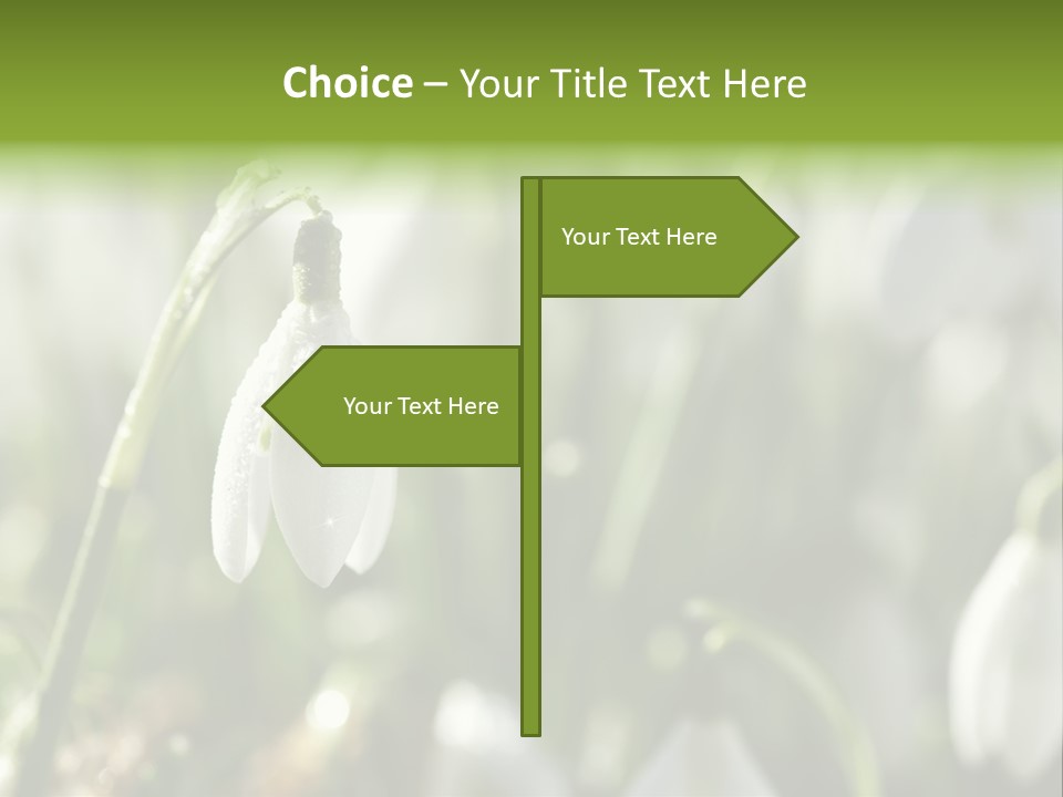 Scintillate Plant Grass PowerPoint Template