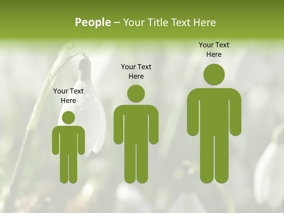 Scintillate Plant Grass PowerPoint Template