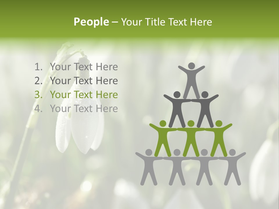 Scintillate Plant Grass PowerPoint Template