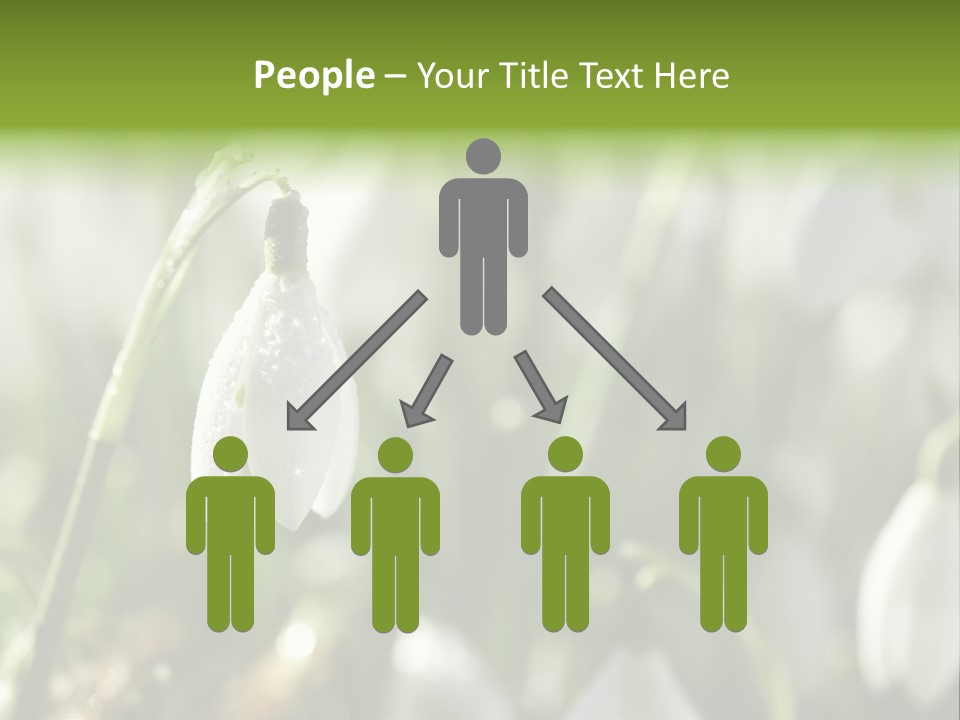 Scintillate Plant Grass PowerPoint Template