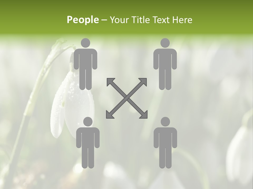 Scintillate Plant Grass PowerPoint Template