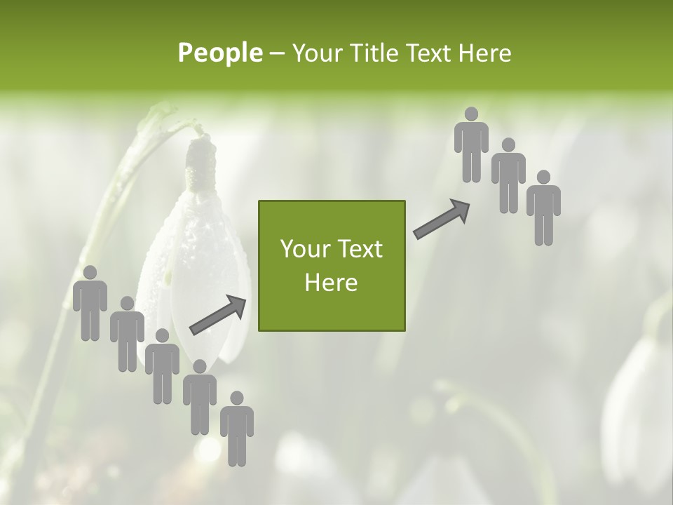 Scintillate Plant Grass PowerPoint Template