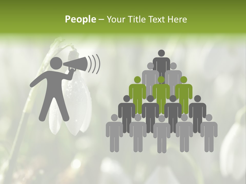 Scintillate Plant Grass PowerPoint Template