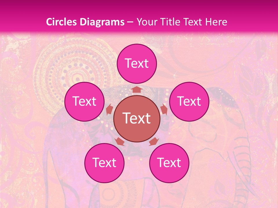 Orange Animal Colour PowerPoint Template