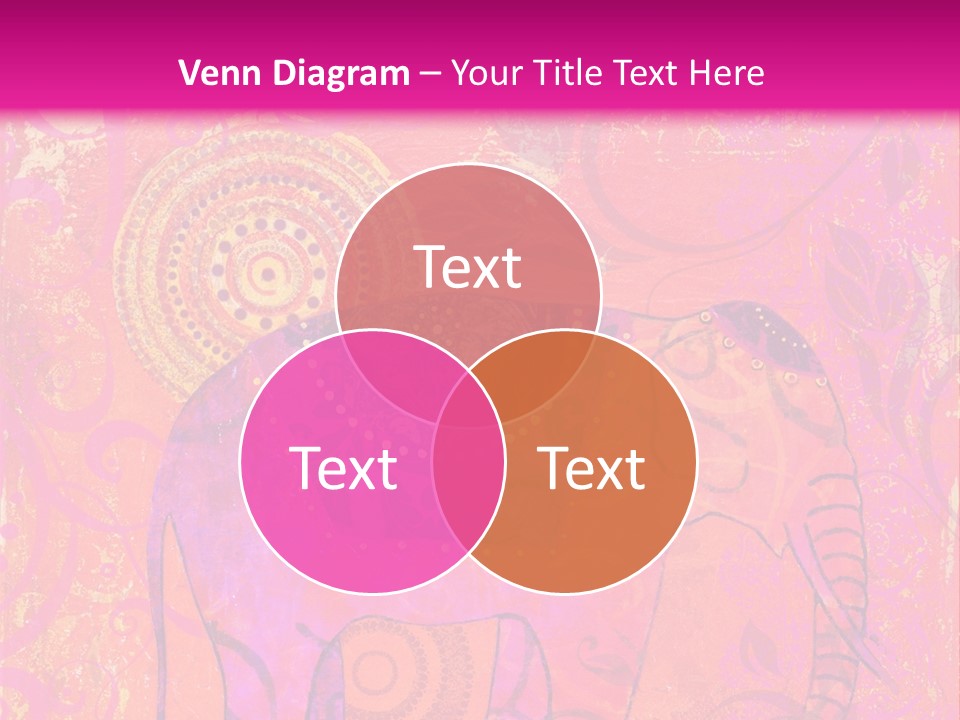 Orange Animal Colour PowerPoint Template