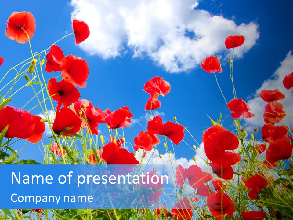 Clear Flower Sky PowerPoint Template