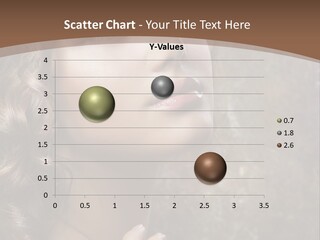 Caucasian Eye Facial PowerPoint Template